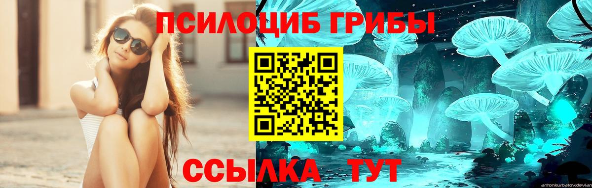 Ханты-Мансийск  Псилоцибиновые грибы прущие грибы  Вход с VPN 